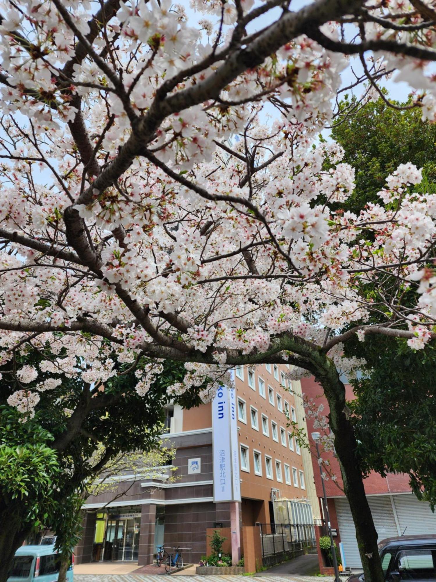 Toyoko Inn Fujisan Numazu Eki Kita Guchi No 2 Exteriör bild